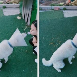 Meet your Posher, Soeun